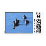 Greylag Quartet Postage
