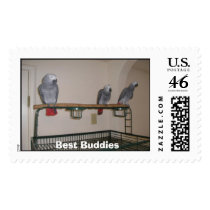 greys2, Best Buddies postage