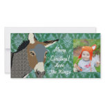 Grey's Donkey Christmas Photo Photo Greeting Card