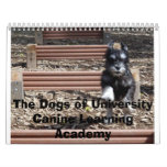 Griff_OnHurdles4 Edit, The Dogs of University C... Calendar