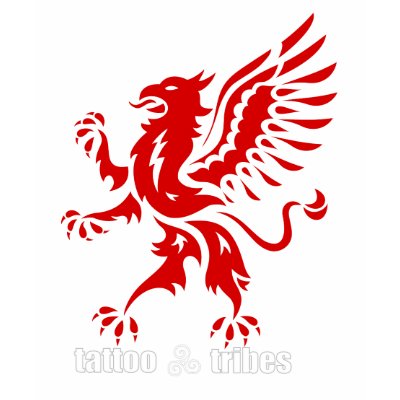 Griffin for kids tee shirts by TattooTribes