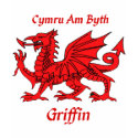 Griffin Welsh Dragon t-shirts