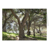 Griffith Park 5/6/07 Greeting Card
