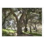 Griffith Park 5/6/07 Greeting Card