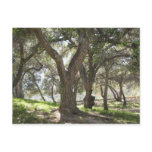 Griffith Park 5/6/07 Postcard