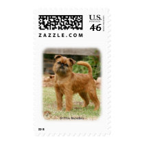 Griffon Bruxellois 9Y406D-078 postage