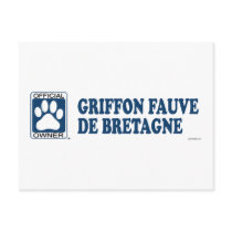 Griffon Fauve De Bretagne Blue Post Card
