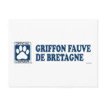 Griffon Fauve De Bretagne Blue Post Card