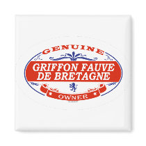 Griffon Fauve De Bretagne  magnets