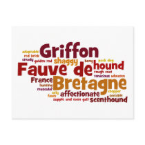 Griffon Fauve de Bretagne Postcard