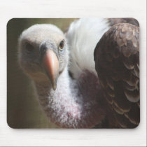 Griffon Vulture..... mousepads