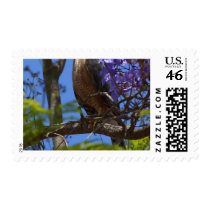 Grilling Brats postage