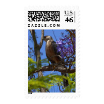 Grilling Brats postage