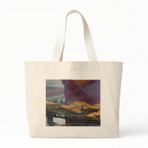 Grilling Salmon Grills bags