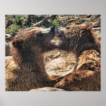 Grin and Bear It posters