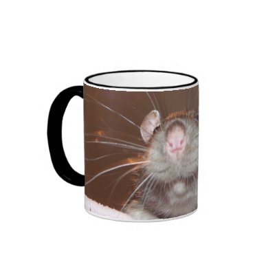 grinning rat