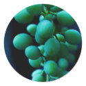 grip on grapes stickers by blacqbook grip on grapes stickers