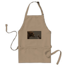Grizzle Bear Meets Raccoon Aprons