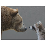 Grizzle Bear Meets Raccoon flyers