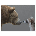 Grizzle Bear Meets Raccoon Personalized Letterhead