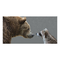 Grizzle Bear Meets Raccoon Personalized Photo Card