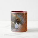 GRIZZLEY BEARS mugs by arteologist23 GRIZZLEY BEARS mugs