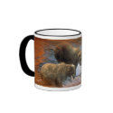 GRIZZLEY BEARS mugs