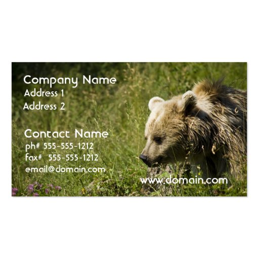 Grizzlies Business Cards