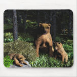 Grizzlies mousepads