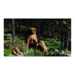 Grizzlies posters