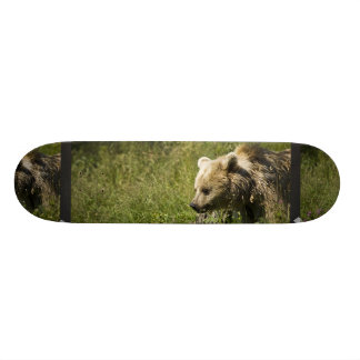Grizzly Skateboard Decks | Zazzle