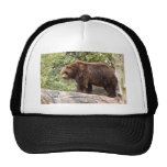 grizzly-bear-001 hat