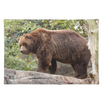 grizzly-bear-001 placemats