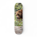 Grizzly Bear 001 Skateboard