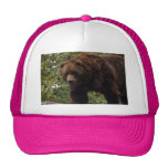 grizzly-bear-005 trucker hat