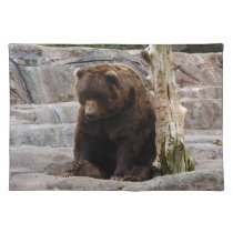 grizzly-bear-010 placemats