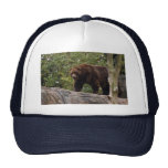 grizzly-bear-013 trucker hats