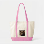 Grizzly Bear-017, Grizzly Bear Bags