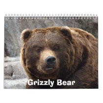 grizzly-bear-017, Grizzly Bear calendars by NatureByDesign grizzly-bear-017, Grizzly Bear calendars
