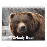 grizzly-bear-017, Grizzly Bear Calendar