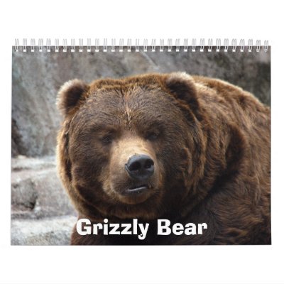 grizzly-bear-017, Grizzly Bear Calendar by NatureByDesign