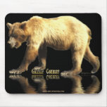 Grizzly Bear Animal-lover Wildlife Art Mousepads