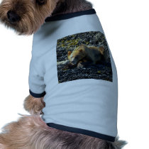 GRIZZLY BEAR ART DOG CLOTHING