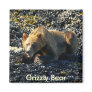 Grizzly Bear Art Refrigerator Magnet