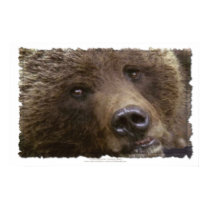GRIZZLY BEAR ~ Art Prints & Posters