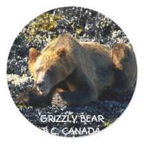 GRIZZLY BEAR ART STICKERS