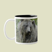 Grizzly_Bear_Bear Lovers Gifts