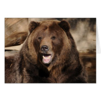 Grizzly Bear Boar cards