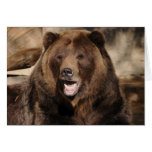 Grizzly Bear Boar cards