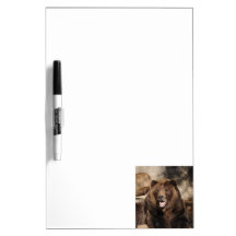 Grizzly Bear Boar Dry-Erase Whiteboard